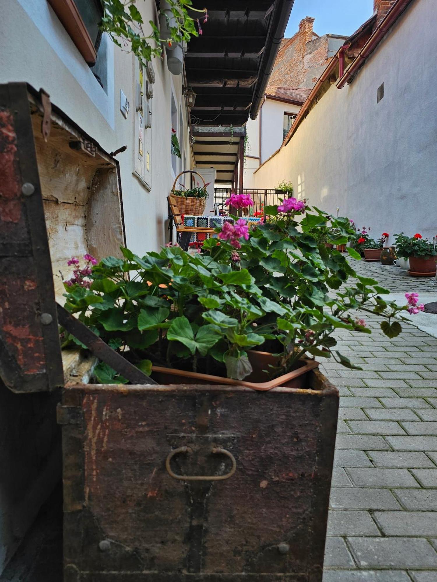 Appartamento Central Cozy House Sibiu Esterno foto